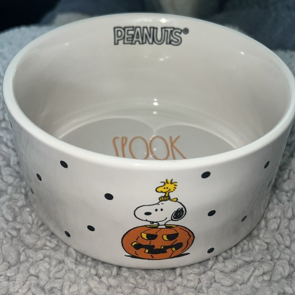 New Rae Dunn Halloween peanuts snoopy dog food bowl